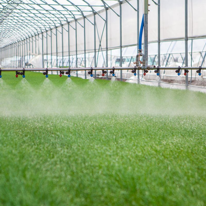 自动化灌溉系统